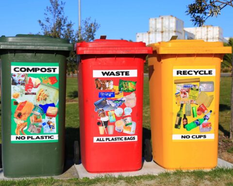 Waste Less in Small Spaces A Renter’s Guide to Recycling and Composting