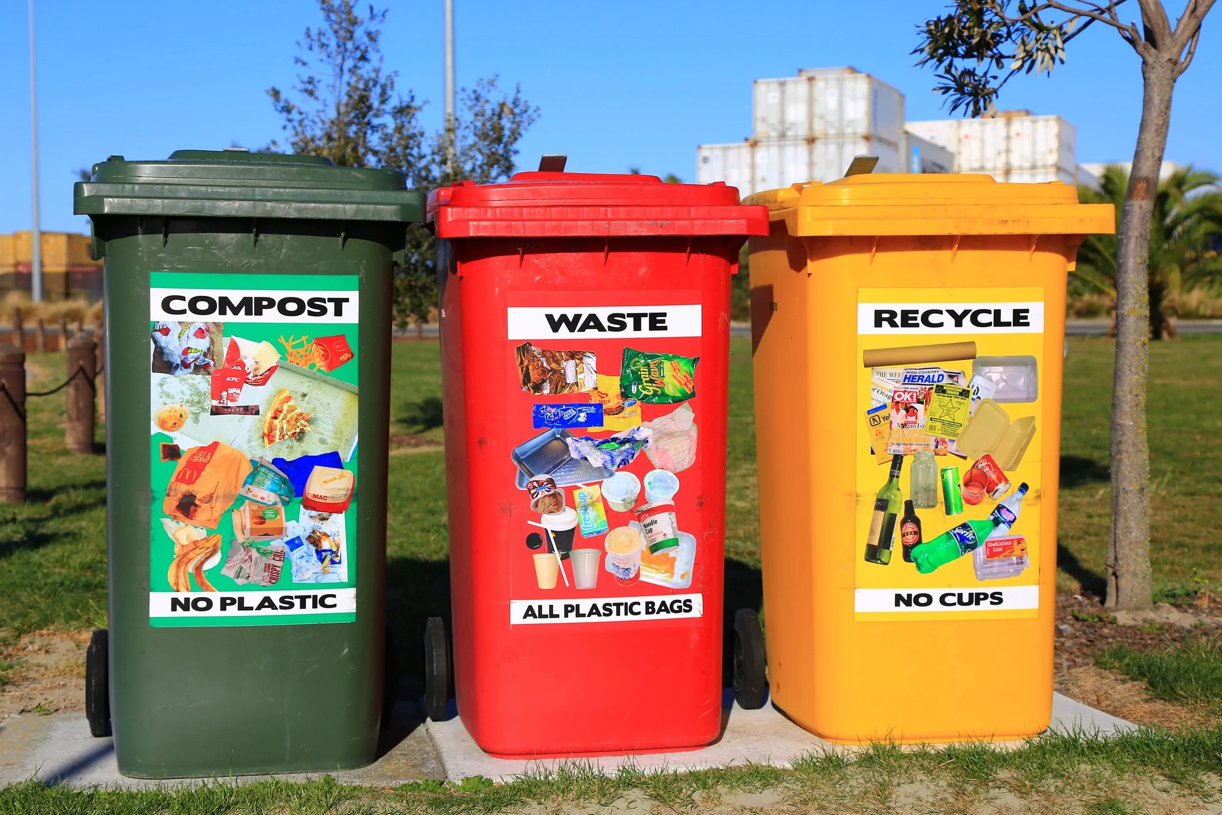 Waste Less in Small Spaces A Renter’s Guide to Recycling and Composting