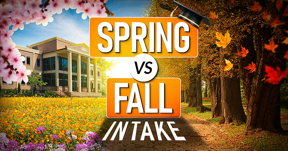 Fall