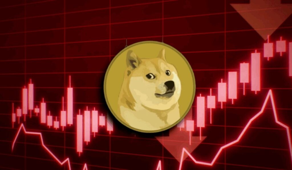 Doge Software Licenses Audit HUD