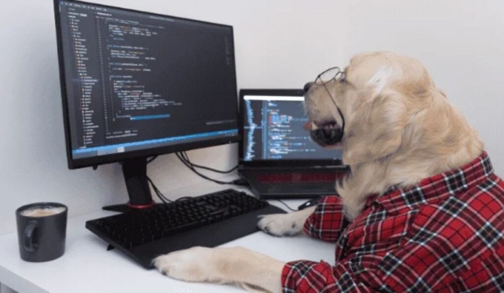 Doge Software Licenses Audit HUD