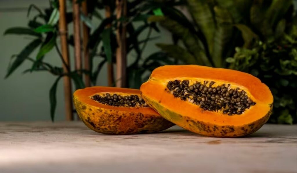 Innovative Papaya Moisturizing Cream in Peru Doctoral Thesis
