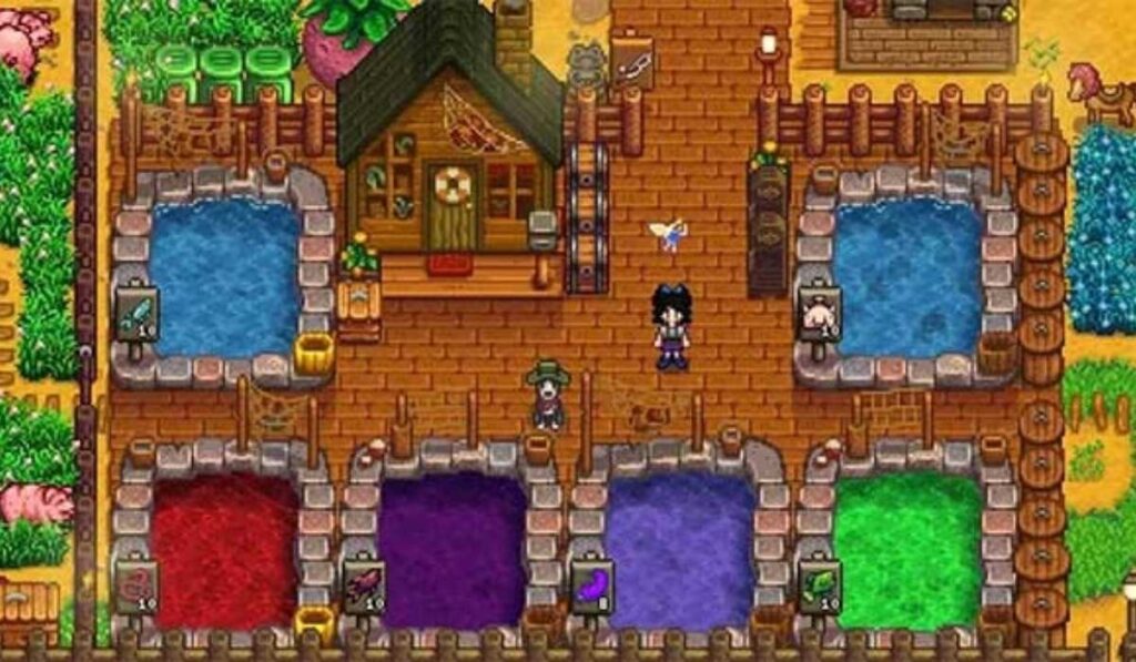 Manh Tan Sac Stardew