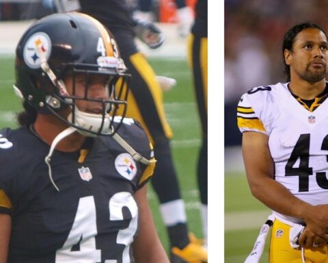 Troy Polamalu